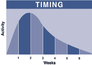 The Dangers of Overpricing Your Home 